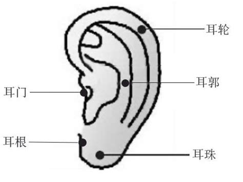 耳朵痣的位置|耳朵长痣图解大全 左耳长痣代表什么